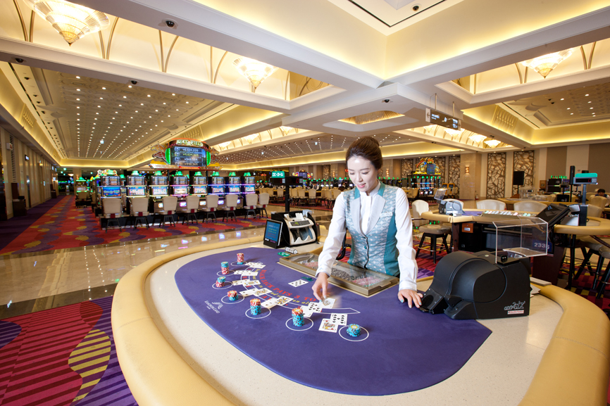 Casino Land Casino