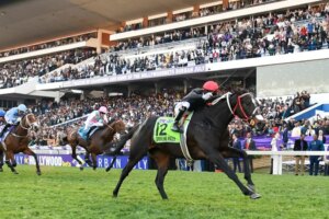 The countdown to Durban July 2025 has begun