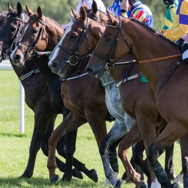 Mauritius horse racing adopts Digital Rupee for faster, safer bets
