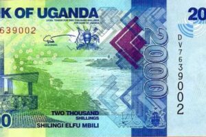 Uganda takes aim at gambling addiction and financial literacy