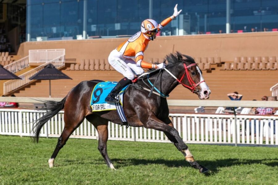 South African bred ‘Under Your Spell’- (Pic- Candiese Lenferna)