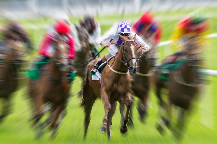 Horse racing in action.
