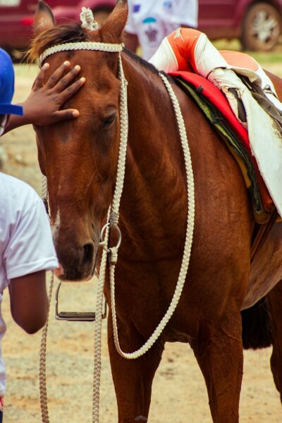 Lesotho’s mountain horse racing event revives the spirit of African tradition