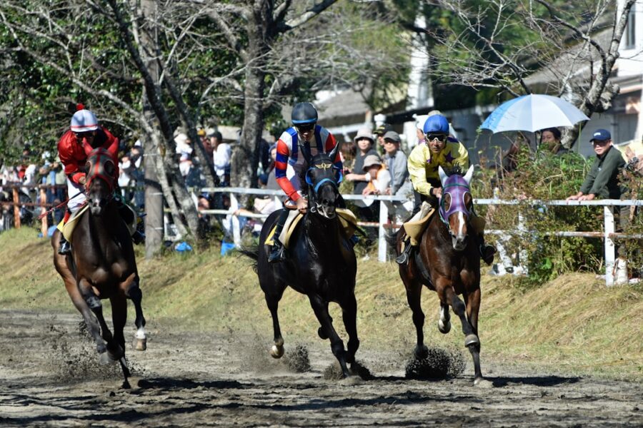 Mauritius gambling authority approves six horse racing trainer licences
