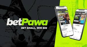 Zambia’s BetLion suspends operations, betPawa pauses services in response to 10 per cent betting tax