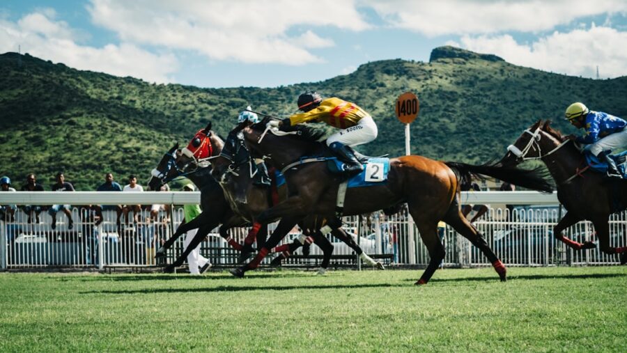 Zimbabwe horse racing season sees bigger fields, higher payouts and intense betting