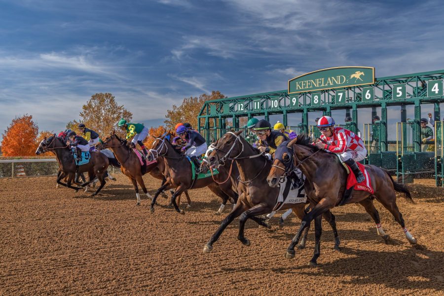 10bet South Africa launches AI-driven horse racing commercial