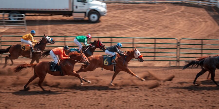 Senegal Lottery-backed horse racing event drew 107 entries across seven races 