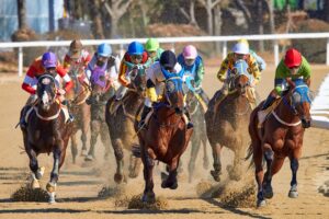 Morocco’s Grand Prix d’Afrique draws 14 countries as lottery sector explores changing markets