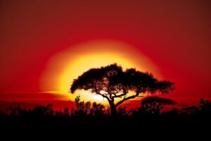 ALGA spotlights African identity as South Africa marked Heritage Day
