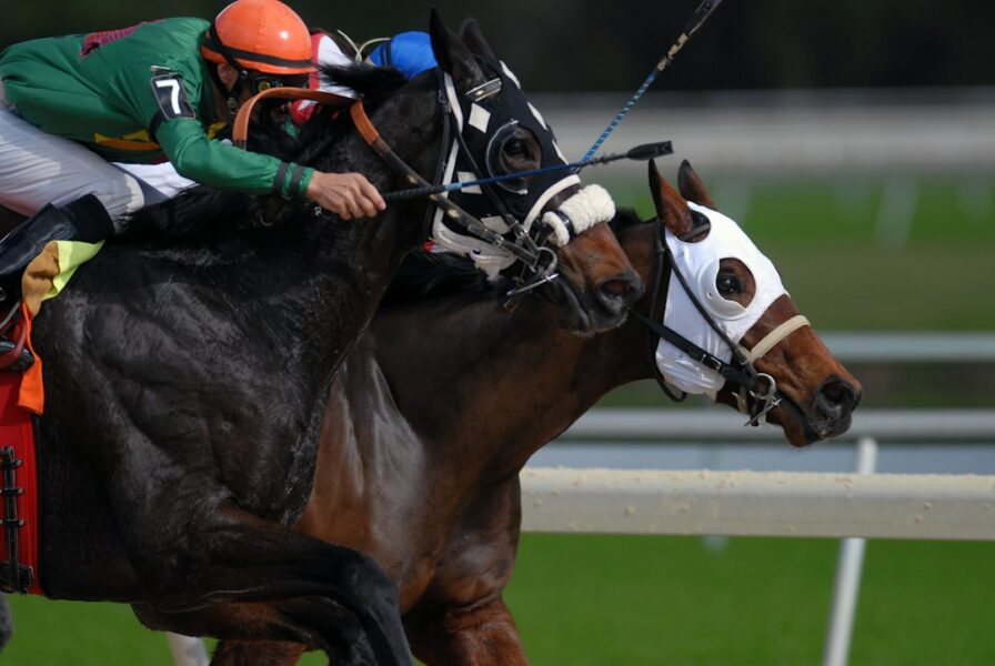 Mauritius racing appeal questions race-pace assessment