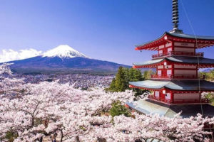 Japan likely to ease restrictions for foreign visitors