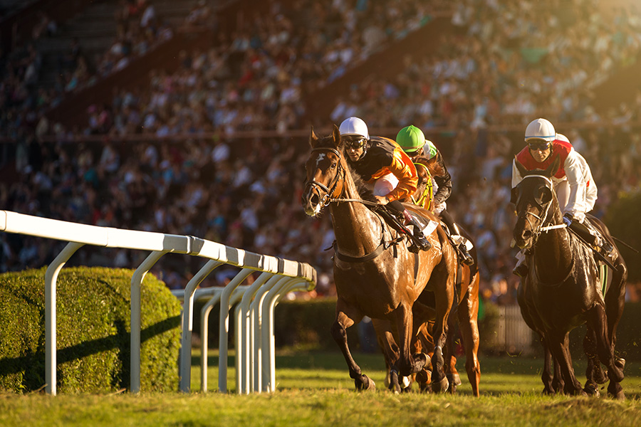 Hong Kong horseracing: proposal to ease age restrictions