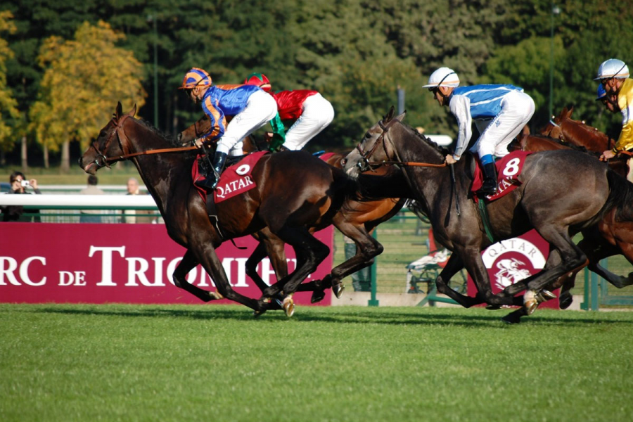 The Macau Jockey Club has ceased operations after more than 40 years of operation.