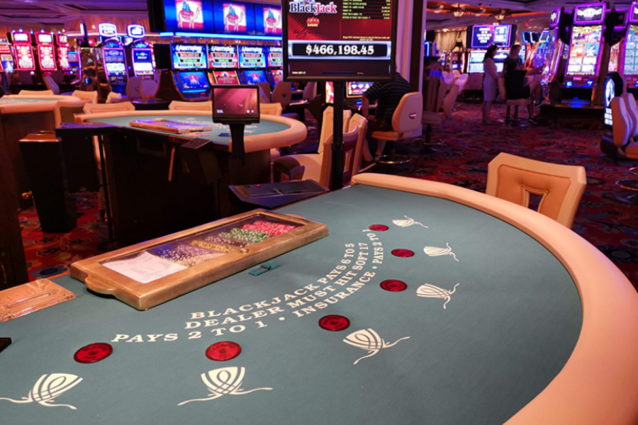 The project aims to allow the development of integrated resorts with casinos.