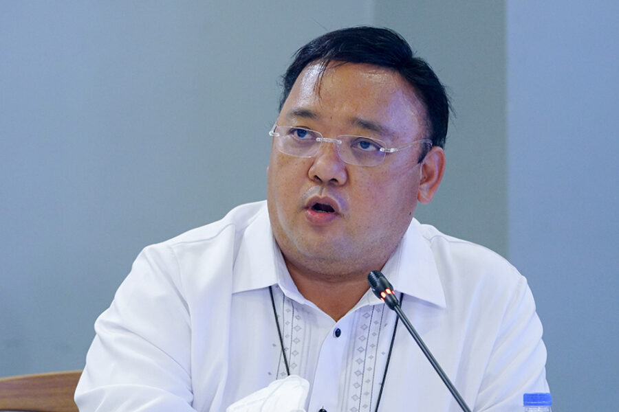 Harry Roque Jr.