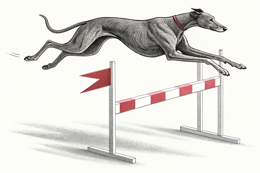 Casino Greyhound Club in New South Wales celebrates 90th anniversary