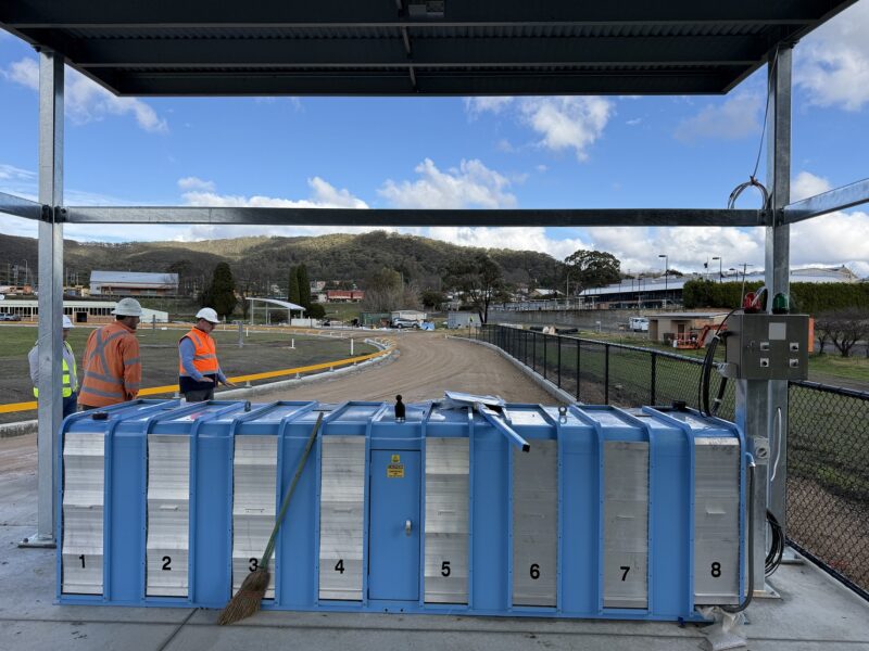 Photo: Greyhound Racing NSW. 