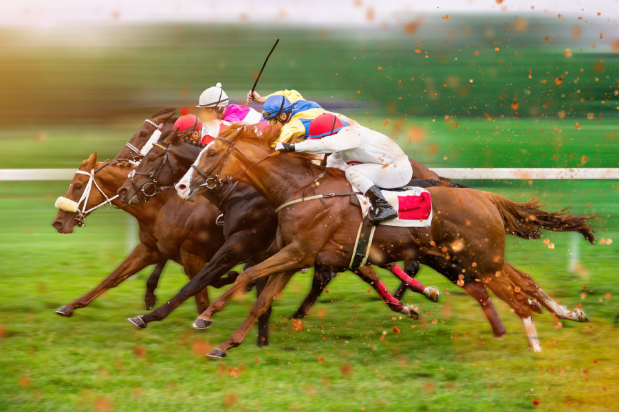 O hipódromo realizava corridas desde 1941.