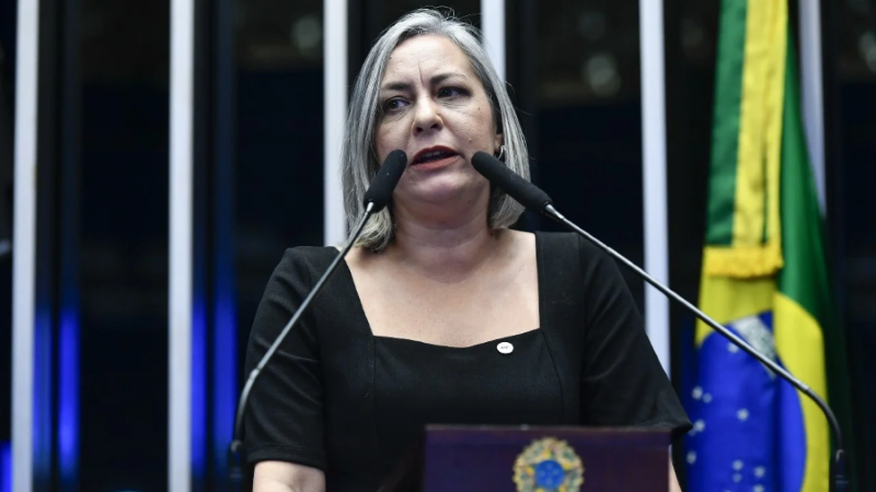 Simone Vicentini representou o Ministério da Fazenda na audiência. (Foto: Geraldo Megala / Agência Senado)