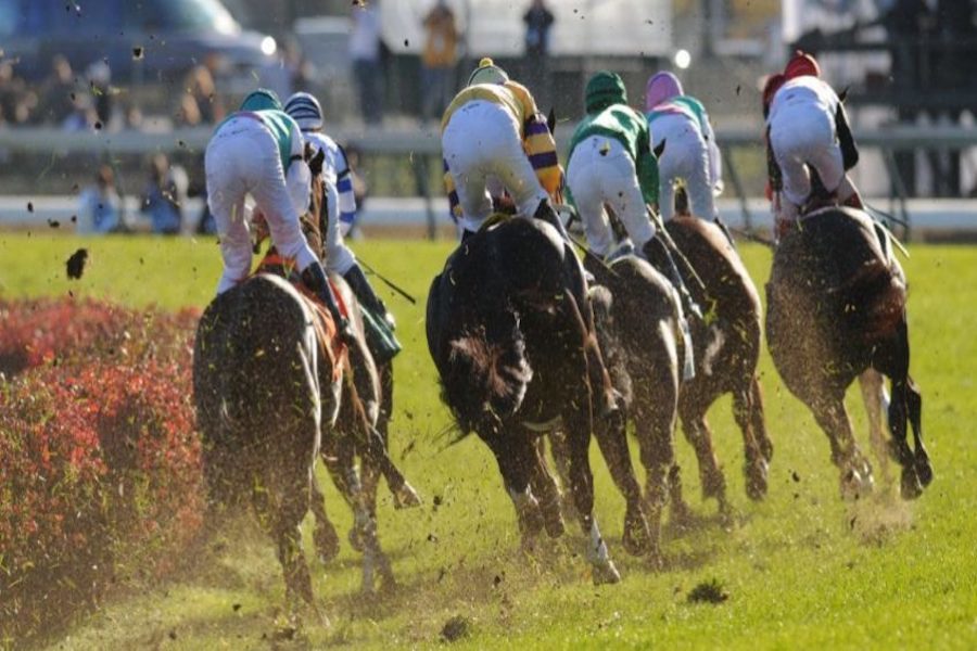 El turf en Uruguay espera volver cuanto antes.