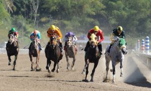 Buscan impedir la vuelta de carreras de caballos en Bahía Blanca