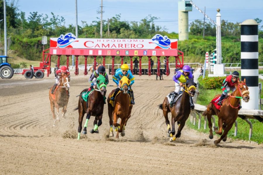 Las autoridades del hipódromo agradecieron el voto de confianza. 