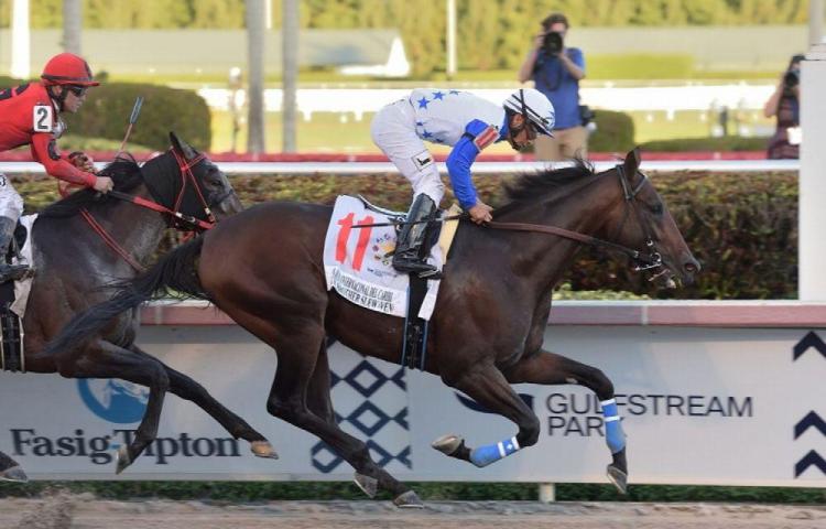 Los eventos podrían llegar a hacerse nuevamente en Gulfstream Park, USA.