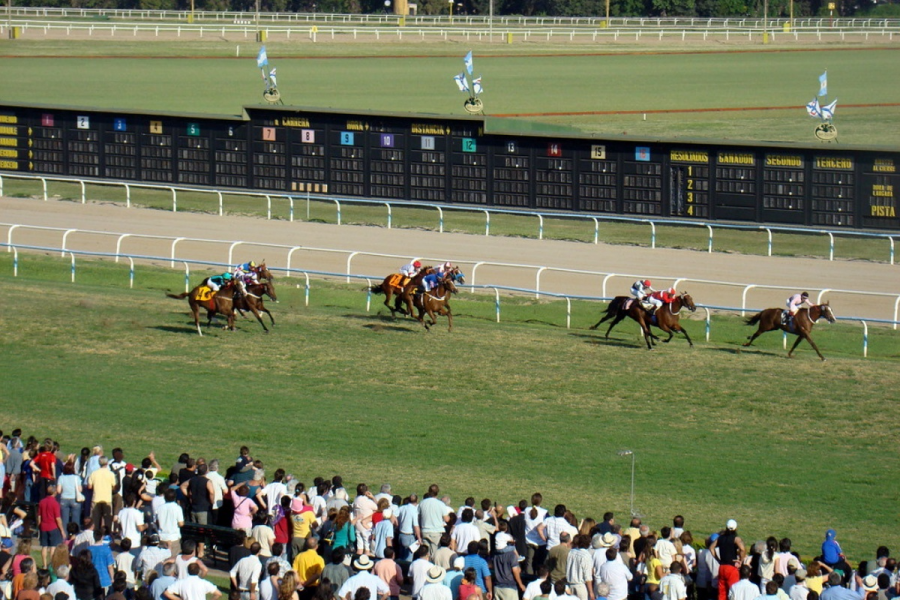 El ganador del Gran Premio Carlos Pellegrini (G1-2400mts) fue Village King.