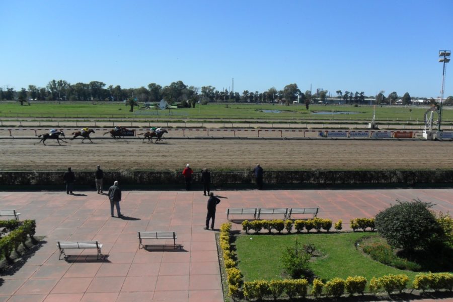 Trabajadores del Hipódromo de La Plata denuncian malas condiciones de trabajo.