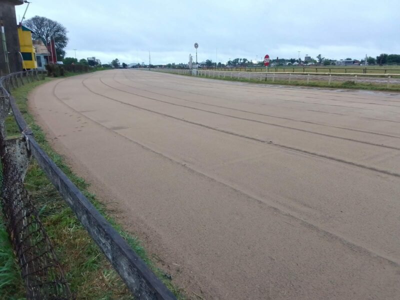 La administración del Hipódromo de la Plata, bajo el foco de las críticas. 