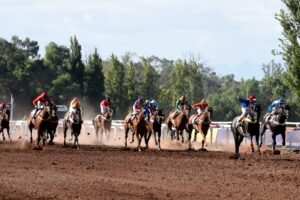 La jornada reúne 10 carreras y 88 caballos. Foto: Gobierno de Mendoza.