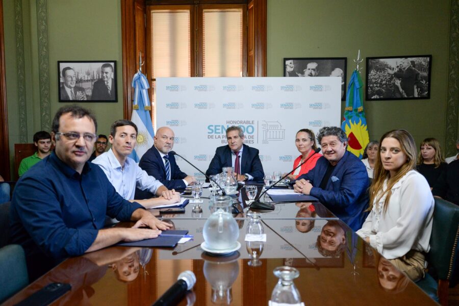 Comisión de Industria y Minería del Senado bonaerense. Foto: Senado PBA. 