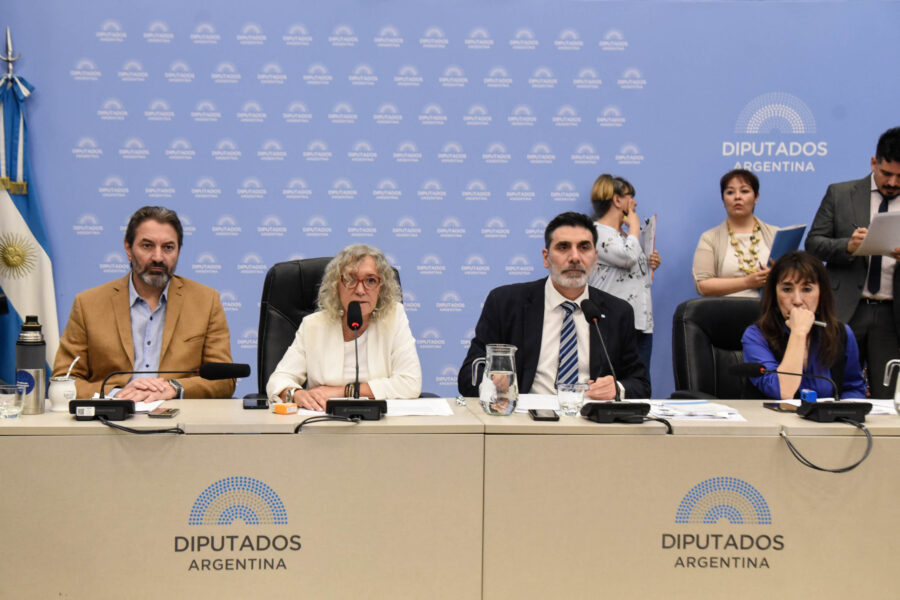 Buscan que la votación se realice antes del receso parlamentario. Foto: Diputados Argentina.