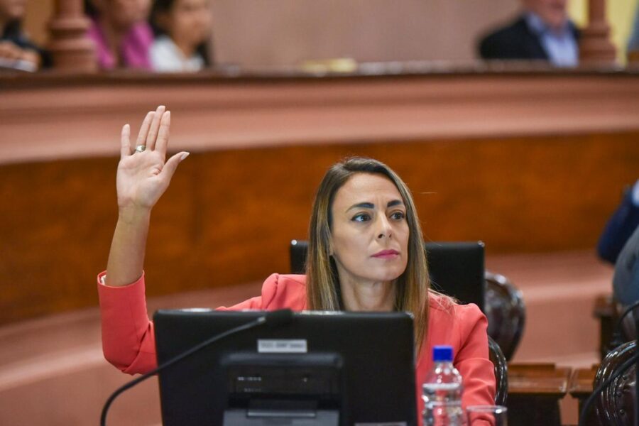 Lorena Arrozogaray, legisladora entrerriana.