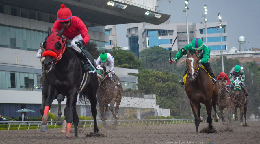 Trabajadores del Hipódromo de Las Américas en Ciudad de México exigen una revisión de la licencia de Codere
