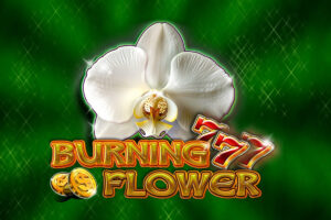 CT Interactive - Burning Flower