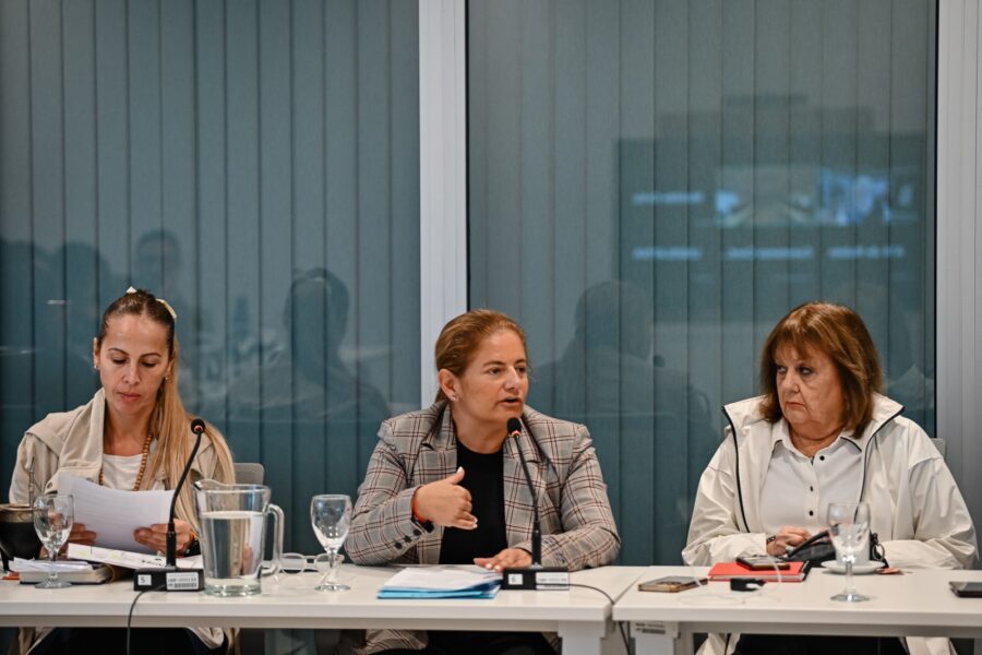 Los dos proyectos presentados pasarán a estudio. Foto: Concejo Deliberante Córdoba.