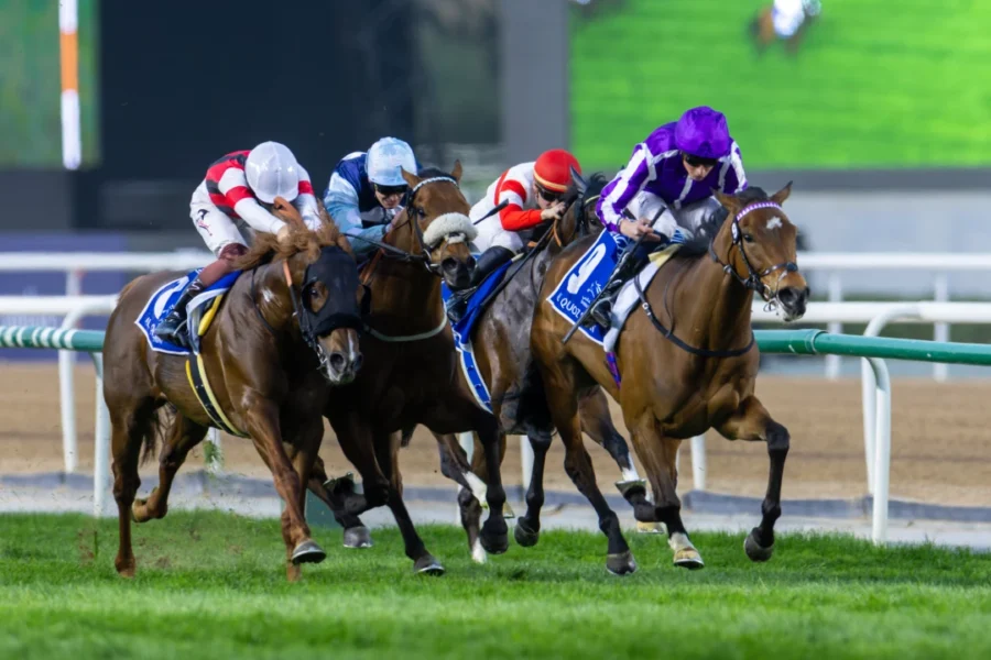 Dubai World Cup 2026: Preparations intensify for landmark 30th edition