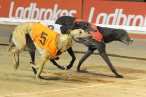 British greyhound races will be played behind close doors.