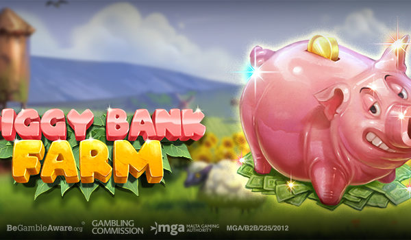 Piggy Bank Farm