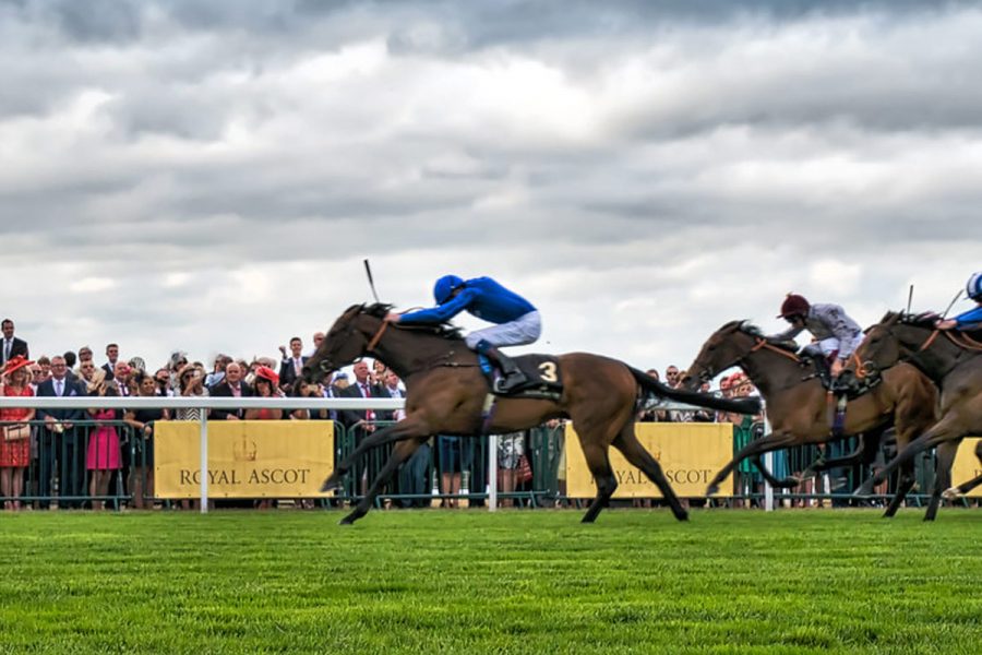 The RCA is hoping for a higher limit on spectators at Royal Ascot.