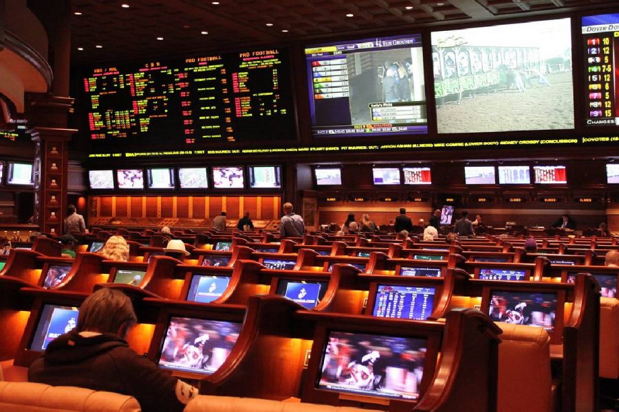 BetMGM to enter Arizona with Gila River casinos and NFL's Cardinals