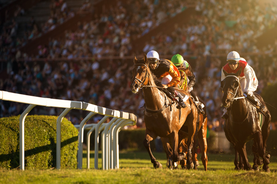 Caesars Racebook offers horse racing content from more than 250 tracks.