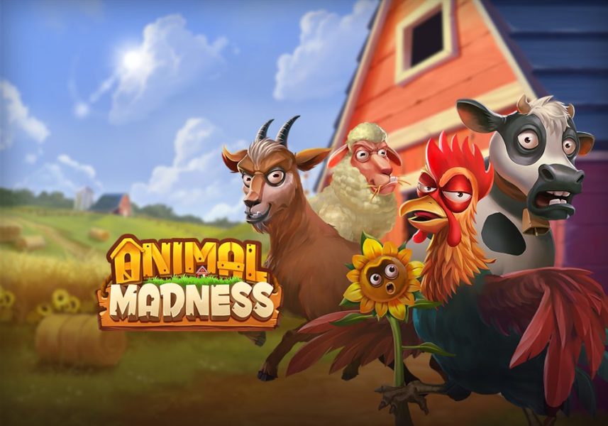 Play’n GO let loose Animal Madness