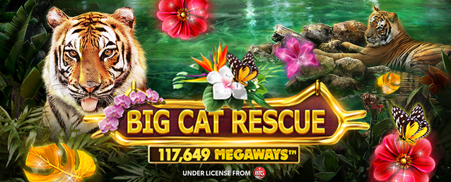 Red Tiger launches the new slot Big Cat Rescue Megaways