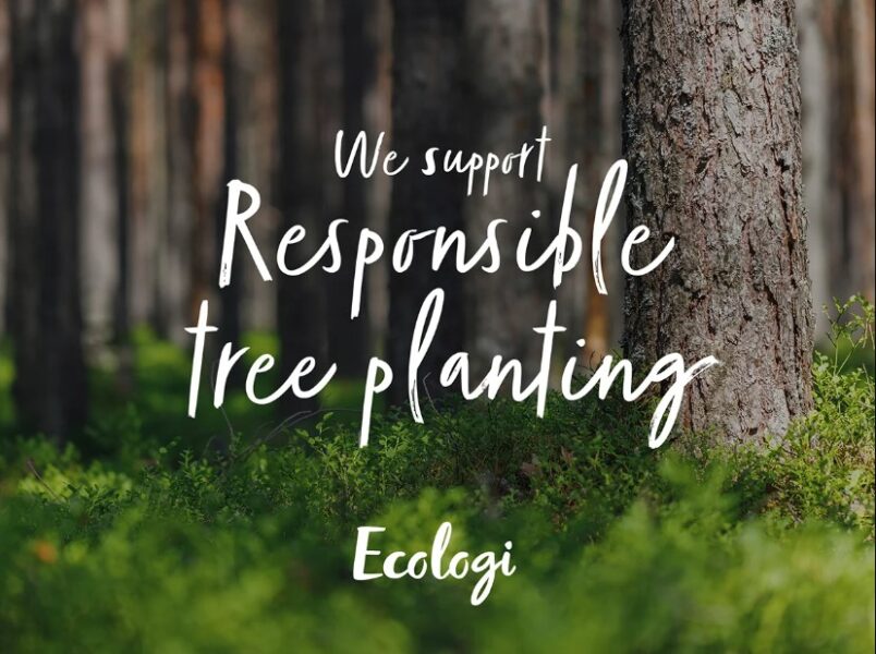 SYBO Games to Plant 200,000 Trees With Partner Ecologi, Coinciding With UN  Climate Change Conference UK 2021 Amid Massive Global Climate Crisis