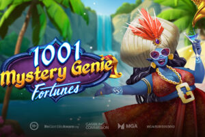 1001 mystery genie fortune - Play'n GO