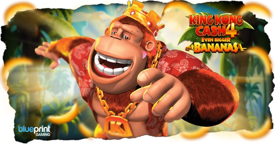 Blueprint Gaming’s primate powerhouse is back on the trail in King Kong Cash Even Bigger Bananas 4