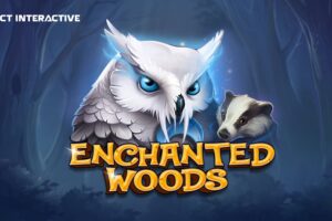 CT Interactive presents Enchanted Woods: a game where turbo wins and luck unite in the heart of the forest